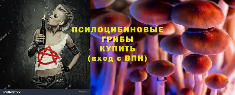 Псилоцибиновые грибы Magic Shrooms  Буй 